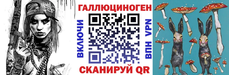 Псилоцибиновые грибы прущие грибы  даркнет наркотические препараты  Камышин 
